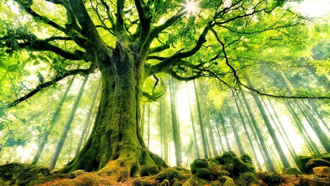 AI取代人工？你需要在岗位中保持这种思维