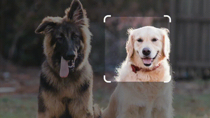 对战必应CHATGPT-4？谷歌AI搜索已来PaLM 2